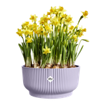 vibes fold bowl 25cm soft lilac